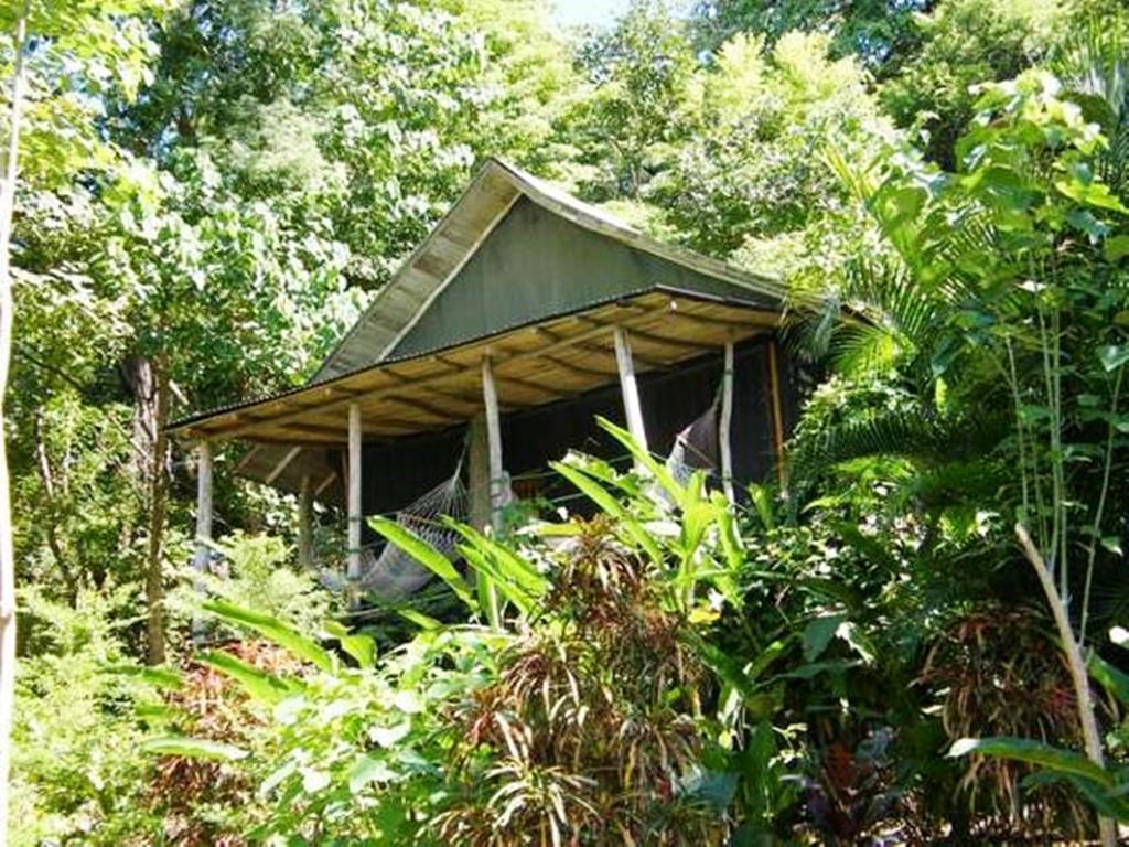 Blue Jay Lodge Paquera Exterior photo