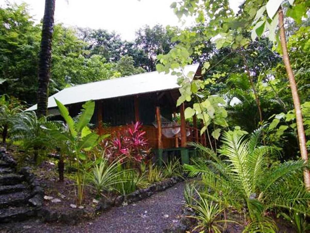 Blue Jay Lodge Paquera Room photo